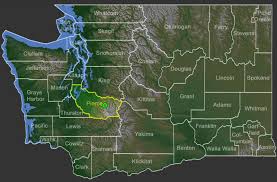 Attēlu rezultāti vaicājumam “Postia undosa”
