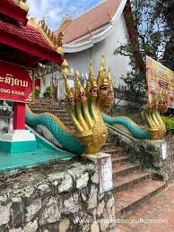 Kuvahaun tulos haulle nagas