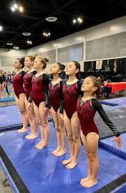 Image result for Spalding & District Gymnastics Club