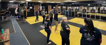 Image result for Impact Martial Arts