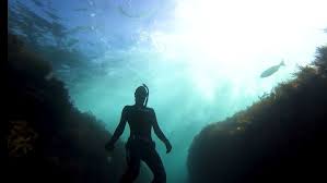 Image result for Great Western Divers