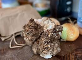 Attēlu rezultāti vaicājumam “Grifola frondosa”