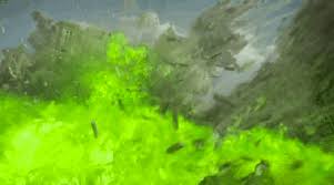 Image result for pheega