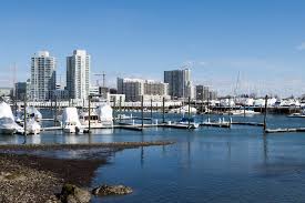 Image result for stamford cc