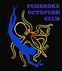 Image result for Croydon Wimbledon Octopush Club