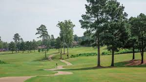 Image result for The Alt Golf Club