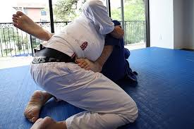 Image result for Intelligent Martial Arts