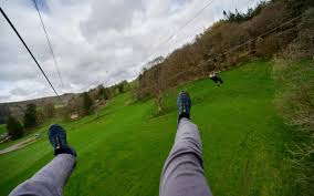 Image result for Go Ape! Grizedale