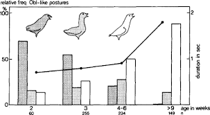 Attēlu rezultāti vaicājumam “Larus ridibundus eggs”