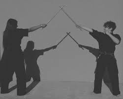 Image result for Phoenix Star Judo Club