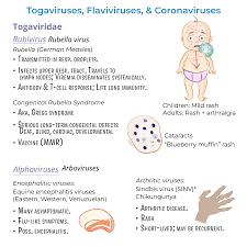 Attēlu rezultāti vaicājumam “Bacidia rubella”