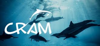 Image result for Ilfracombe Orcas Octopush Club