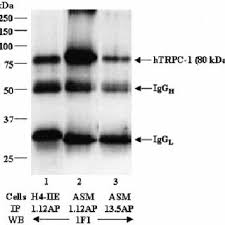 Image result for HTRPC