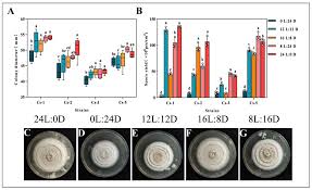 Attēlu rezultāti vaicājumam “Stemonitopsis aequalis var. microspora stalked”