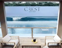 Image result for York University Surf Club