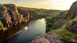 Billedresultat for kakadu n...