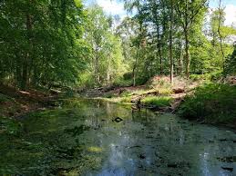 Image result for The Polytechnic Rambling Club