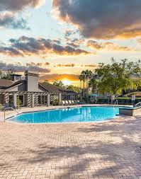 Image result for Derby Phoenix Swimming Club