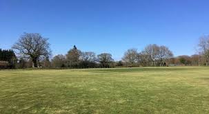 Image result for Lynchmere Cricket Club