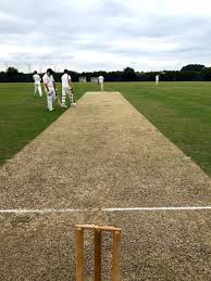 Image result for The Rayleigh Cricket Club