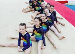 Image result for Northern Gymnastics Club CIC