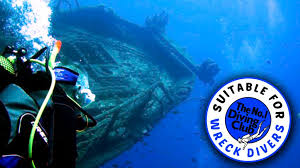 Image result for The London No 1 Diving Club