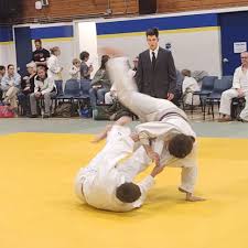 Image result for widnes judo