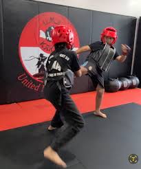 Image result for United Sport Karate