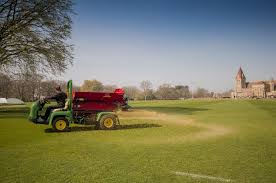 Image result for redexim tehron