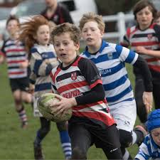 Image result for Novocastrians Rugby Football Club