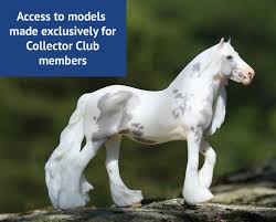 Image result for White Horse Model Club