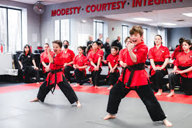Image result for K5 Academy Of Martial Arts