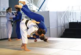 Image result for Sneyd Judo Club