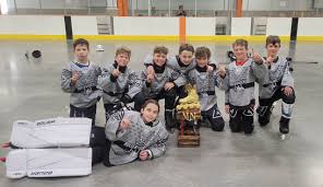 Image result for Team-Tigers Roller Hockey Club
