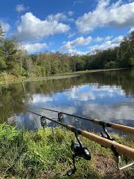 Image result for Cobham Court Angling Club