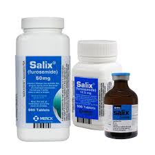 Attēlu rezultāti vaicājumam “Salix Vetrix”