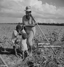 Résultat de recherche d'images pour "farm security administration photo"