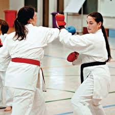 Image result for middlesbrough karate academy