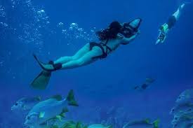 Image result for East Snorkellers