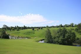 Image result for Greetham Valley Golf Club