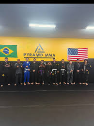 Image result for Pyramid martial arts