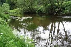 Image result for Bay Malton Angling Club