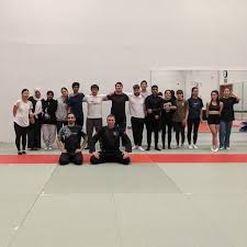 Image result for Kung Fu Wing Chun Club - University of Birmingham Sport
