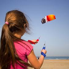 Image result for Baiter Power Kite