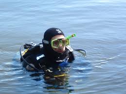 Image result for Teddington Sub-Aqua Club