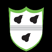 Image result for Worcester Dominies & Guild Cc