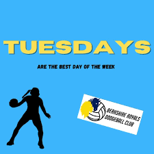 Image result for Berkshire Royals Dodgeball Club