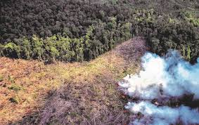 Image result for pemanasan global