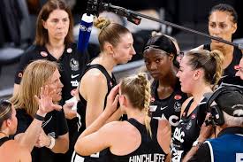 Image result for Ledbury Magpies Netball Club