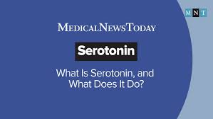 Image result for seotonie